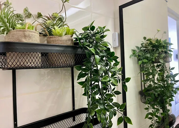 Appartement Tennis Clim Wifi Terrasse Au Cap D'agde